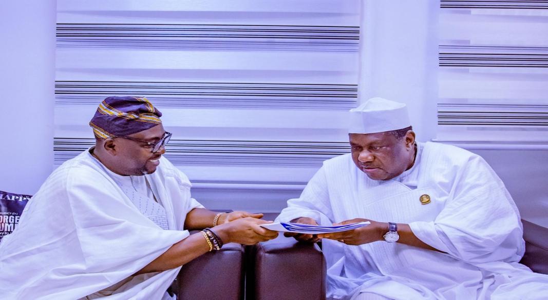 Adelabu resigns as Power Minister